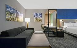 SpringHill Suites by Marriott St. Paul Arden Hills