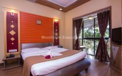 Mount View Executive