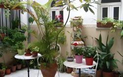 Hostal Alcazar I