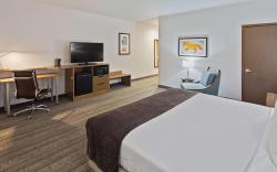 Best Western Green Oak Inn & Suites