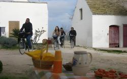 Charming Trulli