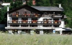 La Madonnina Del Gran Paradiso Wellness Hotel