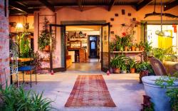 Ebonymoon Guest House and Studio