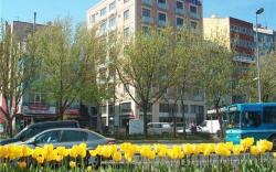 Star City Hotel