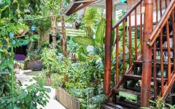 Serenity Eco Guesthouse and Yoga 