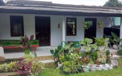 Homestay Wijaya Mulya