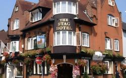 The Stag Hotel and Mailmans Arms