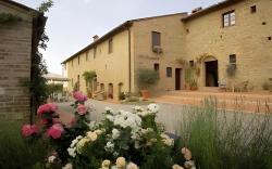 Il Rosolaccio