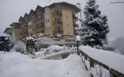 Alexander Hotel Alpine Wellness Dolomites