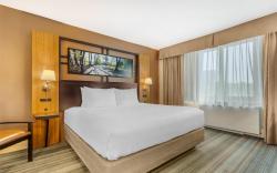 Best Western Queens Gold Coast