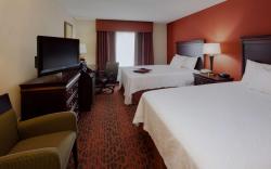 Hampton Inn Rochester-Webster