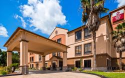 Best Western Plus North Houston Inn and Suites