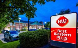 Best Western Plus Addison Dallas Hotel