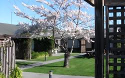 Christchurch Park Motel