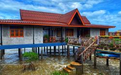 The mangrove old town
