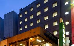 Kumamoto Green Hotel