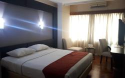 Mega Cikini Hotel