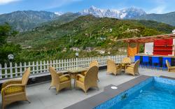 juSTa Birding Dharamshala