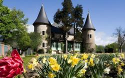 Chateau De Picomtal