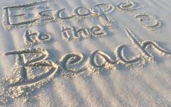 Escape to the Beach