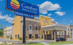 Comfort Inn & Suites Macon West
