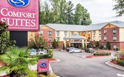 Comfort Suites Morrow- Atlanta South