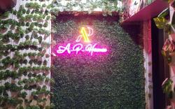 HOTEL A.P HOMES