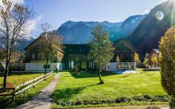 Chalet in Obertraun near Krippenstein Ski Area