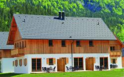 Chalet in Obertraun near Krippenstein Ski Area