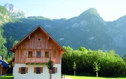 Studio in Obertraun by Hallstattersee