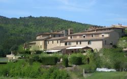 Bosco Della Spina
