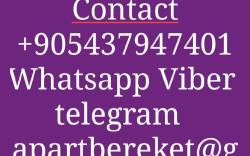 Bereket Travel Hotel