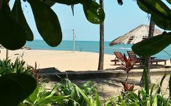 Aquarius Resort