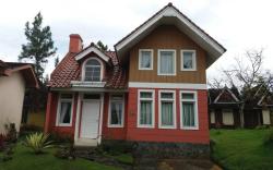 Villa Kota Bunga Aster