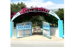 Dolphin Apartments