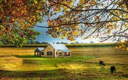 The FarSide Dam Cottage