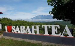 Sabah Tea Resort