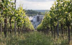 Holiday Inn - the niu Form Stuttgart Feuerbach By IHG