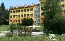 Wellness Hotel Frymburk