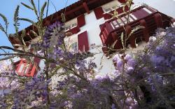 Hotel Residence Bellevue