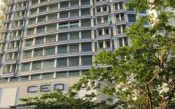 The Ceo Executive Soho Couple