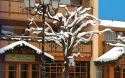 Hotel Les Peupliers