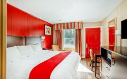 OYO Hotel Ridgeland East