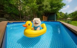 Gapyeong Santa Maria Dog-friendly Privat
