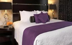 Hyatt Centric The Woodlands