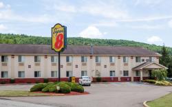 Super 8 By Wyndham Sidney Ny