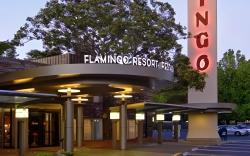 Flamingo Resort & Spa Santa Rosa Sonoma, Tapestry by Hilton