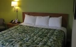 Ocean Sands Beach Boutique Inn - Stay By the Beach