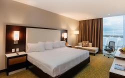 Hilton Garden Inn Puebla Angelópolis