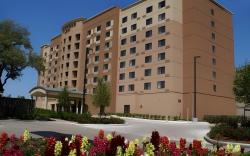 Courtyard by Marriott Houston Medical Center/NRG Park